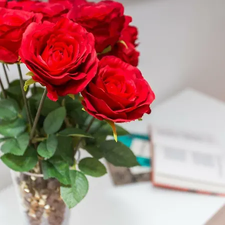 Valum Luxury Daire *